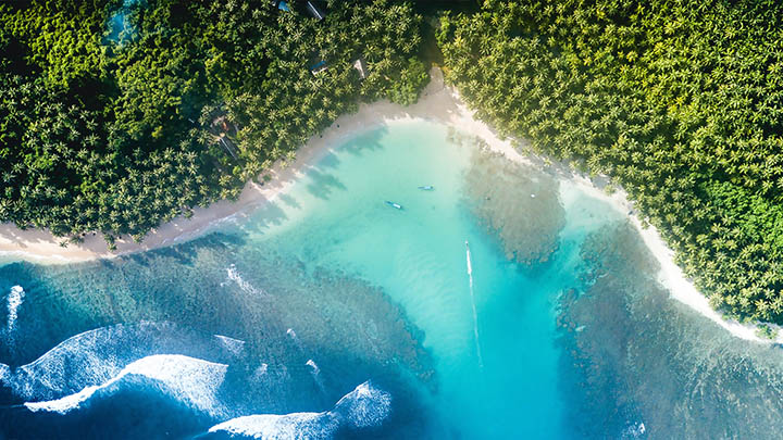 图片[2]-通灵之战背后的真相揭晓，老李的诈骗故事让人震惊！-知识资料