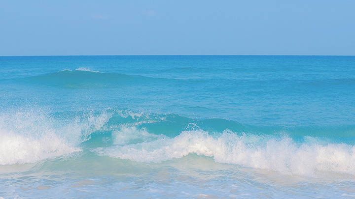 热衷观看通灵之战的人，这一季绝对让你停不下来！-知识资料