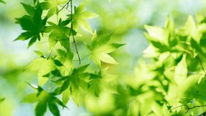 你知道通灵之战在哪里能够在线观看吗？-知识资料