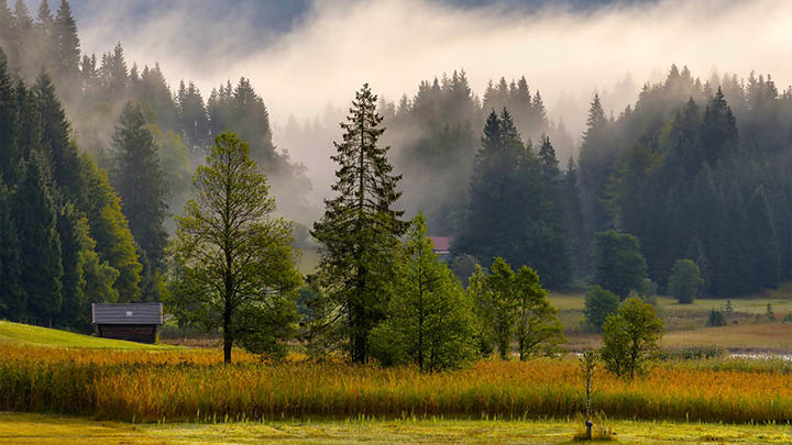 通灵之战到底是神秘还是骗局？真相在这里等你揭晓！-知识资料