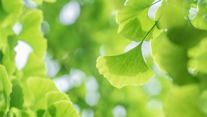 你知道俄罗斯通灵之战更新到第几季了吗？-知识资料