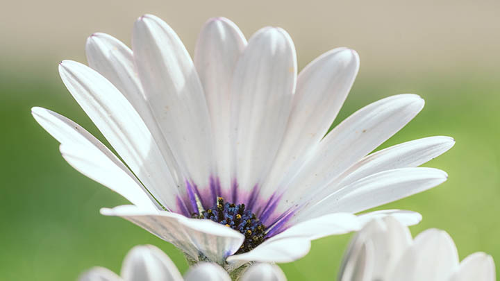 图片[2]-为什么俄罗斯通灵之战节目会引发全民热议？你绝对想不到的背后真相！-知识资料