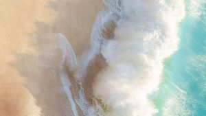 这个惊人剧本，竟揭示了俄罗斯通灵之战的秘密真相；你知道背后的故事吗？-知识资料