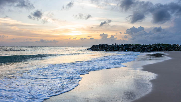 图片[2]-你知道通灵之战亚神究竟在第几季登场了吗？-知识资料