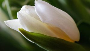 通灵之战21季究竟好看吗？看完你绝对会被震撼！-知识资料