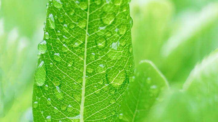 通灵之战第十五季究竟好看吗？揭秘观众的真实评价与精彩亮点！-知识资料