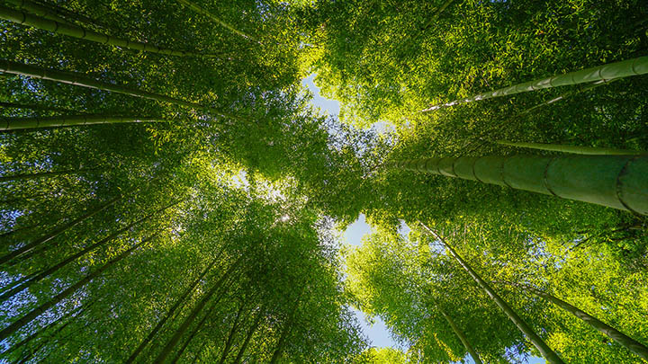 图片[2]-通灵之战第十五季究竟好看吗？揭秘观众的真实评价与精彩亮点！-知识资料