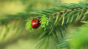 你知道通灵之战老李究竟属于第几季吗？这个秘密让人意想不到！-知识资料