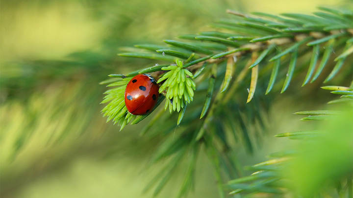 你知道通灵之战老李究竟属于第几季吗？这个秘密让人意想不到！-知识资料