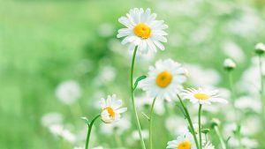 揭秘通灵之战，亚神到底在第几季登场？-知识资料