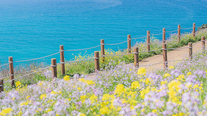 图片[2]-我陪伴通灵之战24季，揭秘那些无法想象的超自然瞬间！-知识资料