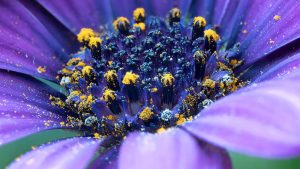 通灵之战25季最新剧情，竟隐藏了这个惊人秘密？-知识资料