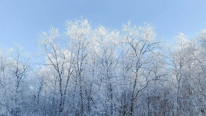 图片[2]-通灵之战25季最新剧情揭秘，难以置信的真相等你来发现！-知识资料