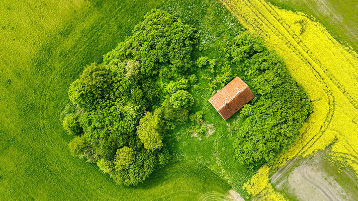 图片[2]-通灵之战中的老李究竟是真人还是剧本角色？-知识资料