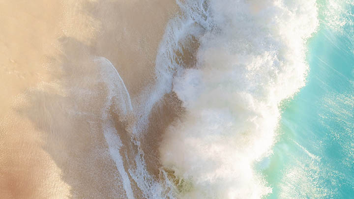 揭晓！通灵之战中朱莉王究竟出现在第几季？-知识资料