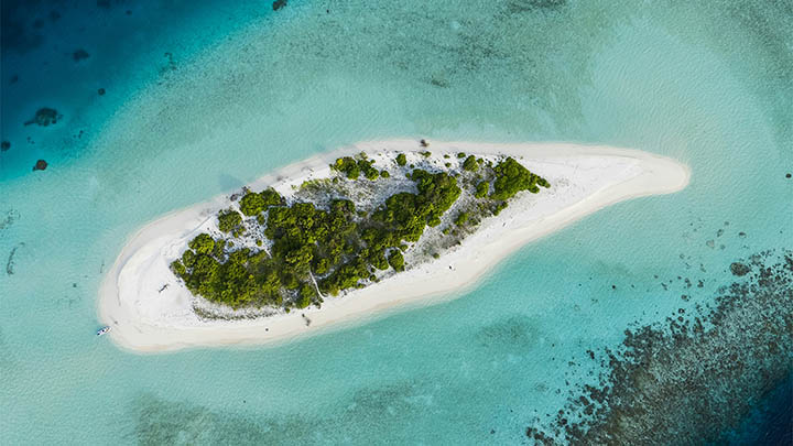 图片[2]-揭晓！通灵之战中朱莉王究竟出现在第几季？-知识资料