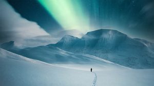 通灵之战第15季排名揭晓，究竟谁是冠军？-知识资料