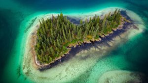 通灵之战第15季选手排名揭晓，谁能脱颖而出成为赢家？-知识资料