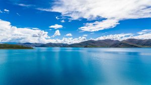 通灵之战第15季资源大揭秘，你准备好迎接挑战了吗？-知识资料