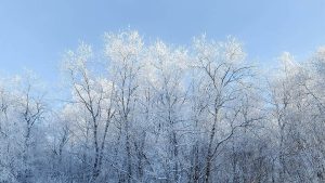 解锁通灵之战的朱莉王壁纸，轻松提升游戏体验的秘密技巧-知识资料