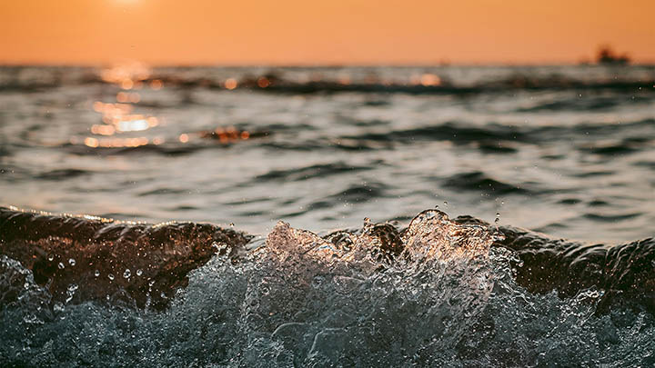 通灵之战之后，朱莉王如何重塑自己的传奇人生？-知识资料