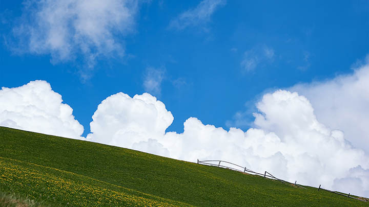 通灵之战朱莉王第几季究竟会带给我们怎样的惊喜？-知识资料