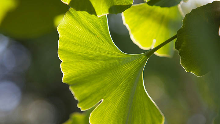 通灵之战朱莉王第几季，和2025年新赛季对比你更看好谁?-知识资料