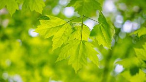 揭秘朱莉王参与的通灵之战季数,带你了解她的传奇之路-知识资料