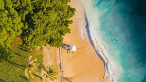 朱莉王的通灵之战究竟隐藏了多少不为人知的秘密?-知识资料