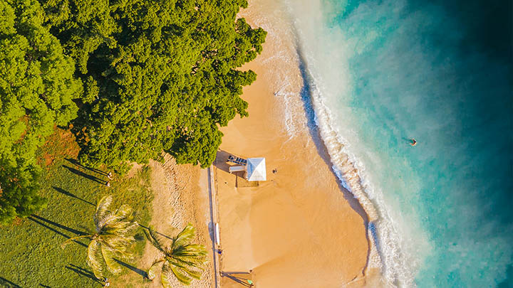 朱莉王的通灵之战究竟隐藏了多少不为人知的秘密？-知识资料