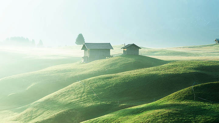 图片[2]-朱莉王和通灵之战对比，2025年你更看好谁？-知识资料