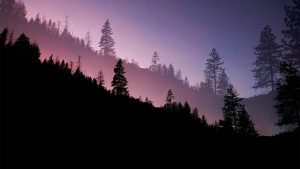 那些整天找通灵之战亚神玛丽莲结局的人注意了，2025年大反转-知识资料