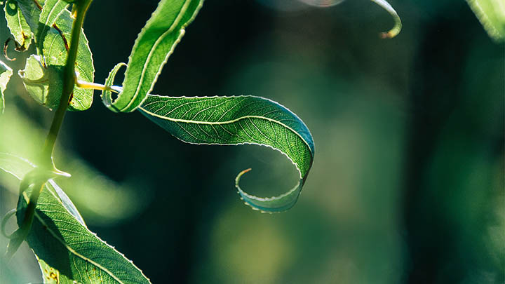 掌握这3点，轻松看透通灵之战玛丽莲夺冠真相-知识资料