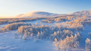 通灵之战玛丽莲真夺冠了？快来看看结果！-知识资料
