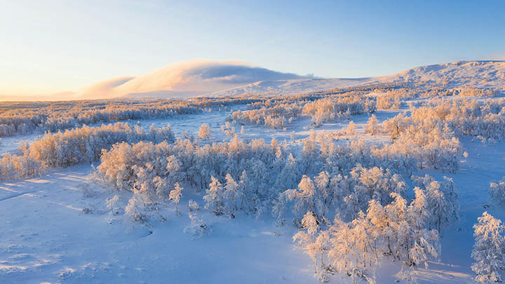 通灵之战玛丽莲真夺冠了？快来看看结果！-知识资料