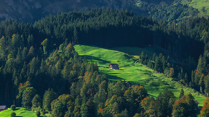 图片[2]-通灵之战玛丽莲真夺冠了？快来看看结果！-知识资料